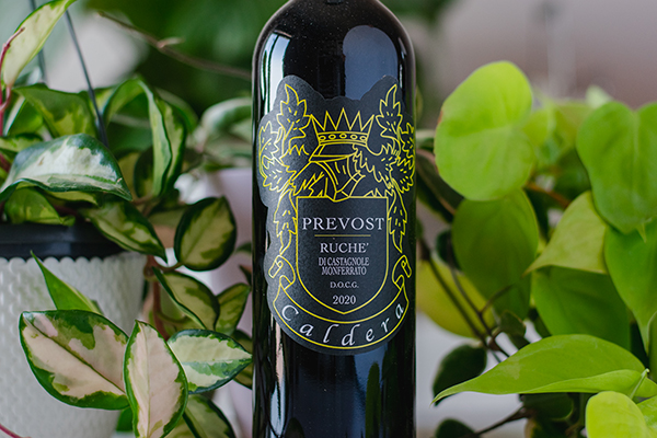 Ruché di Castagnole Monferrato Prevost 2020 Caldera