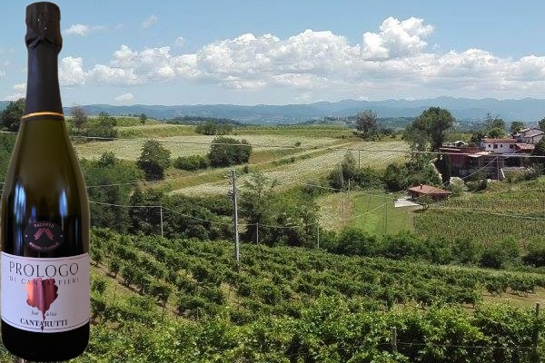 Prologo di Cantalfieri Rosé de Noir 2007