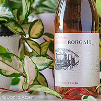 Borgaio Rosato 2020 Castello di Meleto