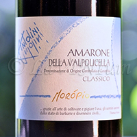 Amarone della Valpolicella Classico Morópio 2017 Antolini