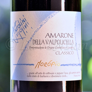 Amarone della Valpolicella Classico Morópio 2017 Antolini