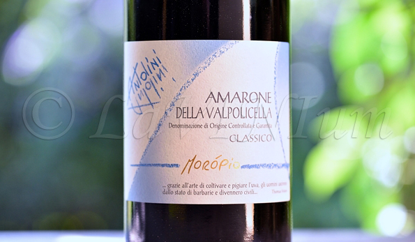 Amarone della Valpolicella Classico Morópio 2017 Antolini