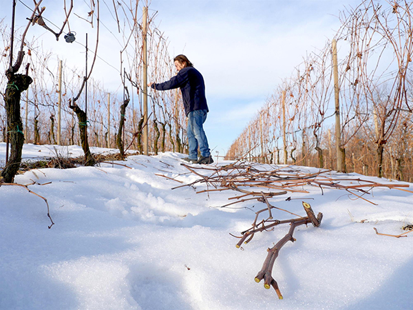 In inverno a Santo Stefano Belbo