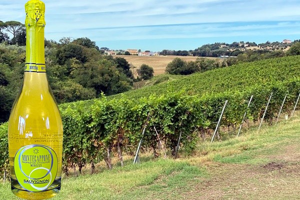 Marche IGT Sauvignon Brut Vino Spumante di Qualità Metodo Charmat Lungo L. SP0119