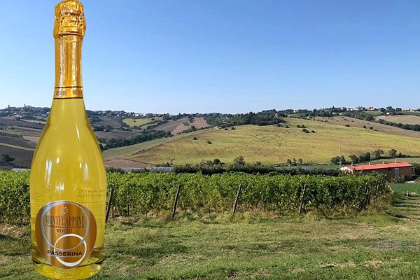 Montecappone Marche IGT Passerina Brut Vino Spumante di Qualità Metodo Charmat L. SA0119