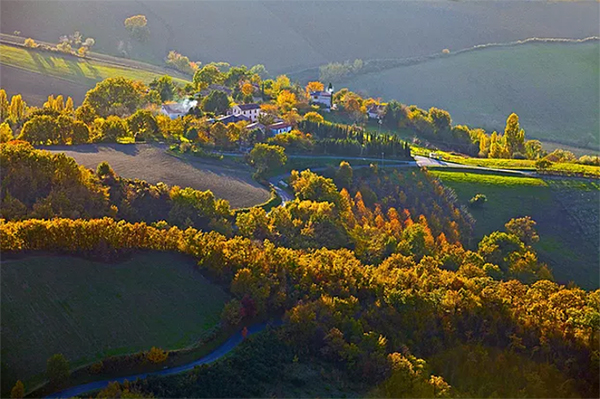 vigneti borgo paglianetto