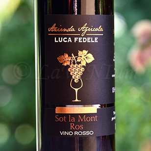 Sot la Mont Ros Luca Fedele