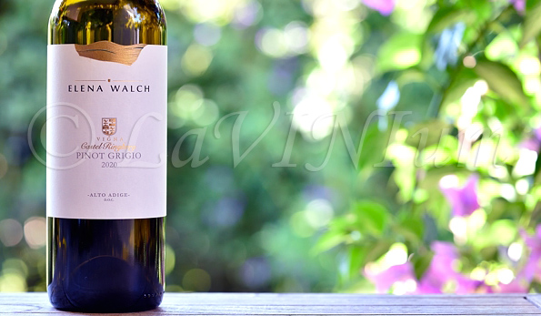 A.A. Pinot Grigio Castel Ringberg 2020 Elena Walch