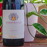 Barbaresco Nervo 2018 Pertinace