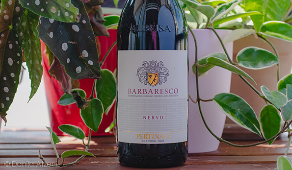 Barbaresco Nervo 2018 Pertinace