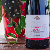 Barbera d'Asti Ronzana 2019 Fratelli Ferro