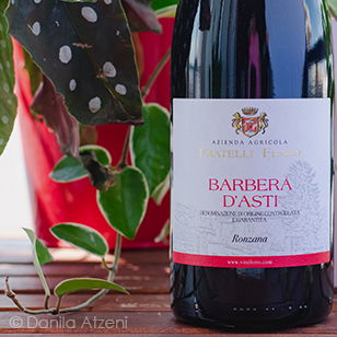 Barbera d'Asti Ronzana 2019 Fratelli Ferro