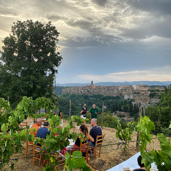 Nella vigna San Lorenzo