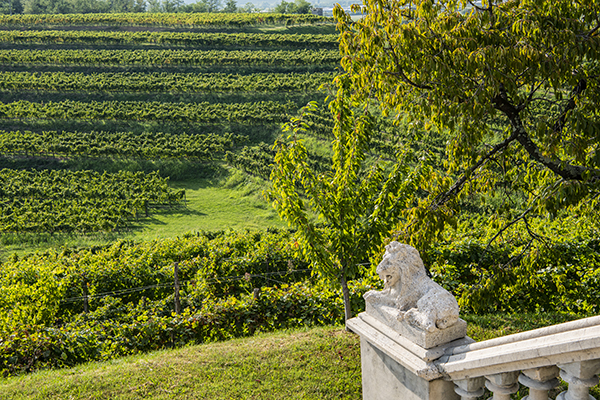 Filari Torre Rosazza
