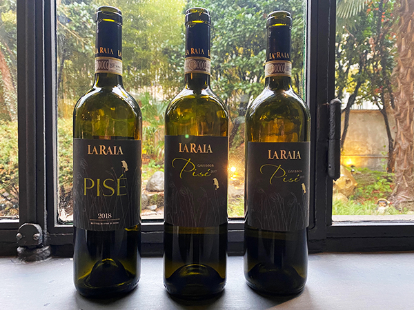 degustazione Gavi Pisé La Raia