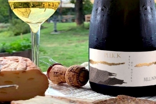 ”Pluck” Blanc de Noirs Pas dosé Brut Nature 2012