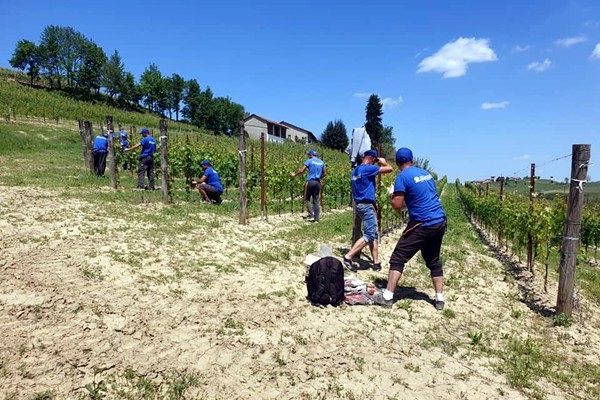 Azienda Mauro Sebaste