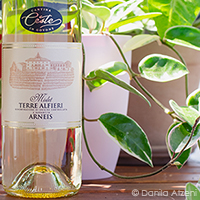 Terre Alfieri Arneis Mislet 2020 Ceste