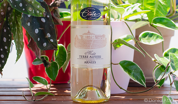 Terre Alfieri Arneis Mislet 2020 Ceste