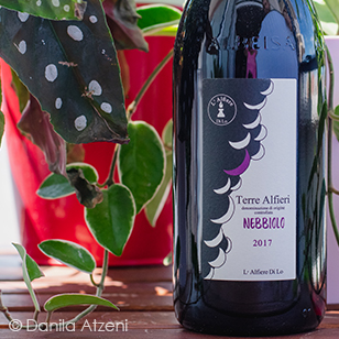 Terre Alfieri Nebbiolo 2017 L'Alfiere di Lo