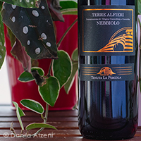Terre Alfieri Nebbiolo 2020 Tenuta La Pergola