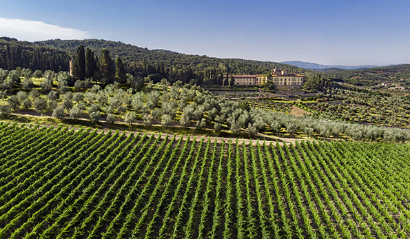 Torre a Cona, vista panoramica