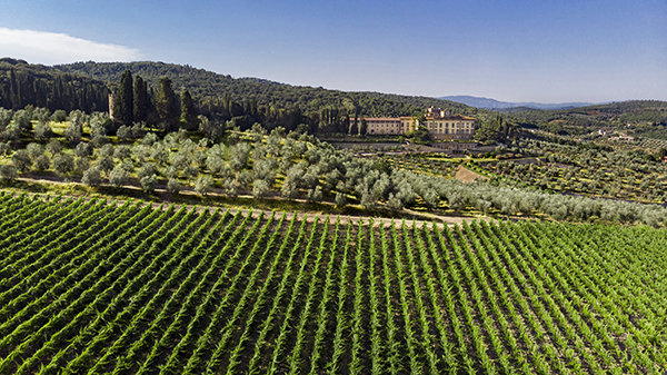 Torre a Cona, vista panoramica