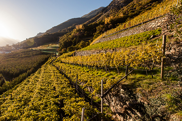 Val Venosta. © Vini Alto Adige - Florian Andergassen