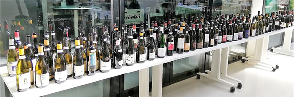 Vini bianchi Alto Adige