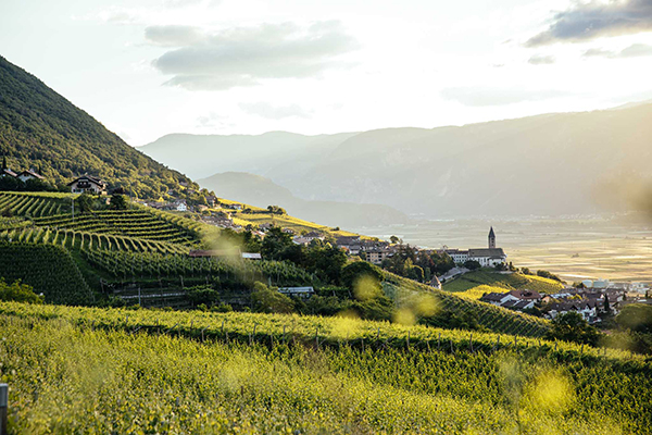 Bassa Atesina. © Vini Alto Adige - Benjamin Pfitscher