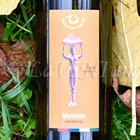 Blumea Bianco 2020 Pagani De Marchi