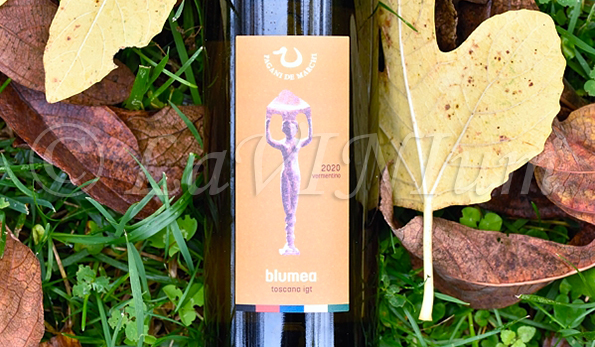 Blumea Bianco 2020 Pagani De Marchi