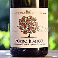 Campi Flegrei Falanghina Sorbo Bianco 2018 Cantine del Mare