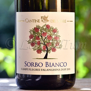 Campi Flegrei Falanghina Sorbo Bianco 2018 Cantine del Mare