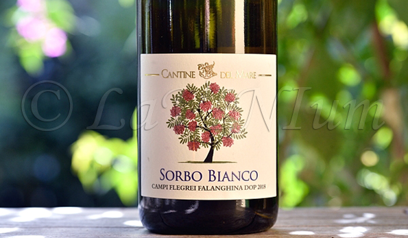 Campi Flegrei Falanghina Sorbo Bianco 2018 Cantine del Mare