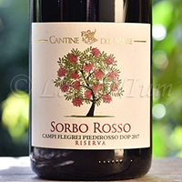 Campi Flegrei Piedirosso Sorbo Rosso Riserva 2017 Cantine del Mare