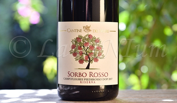 Campi Flegrei Piedirosso Sorbo Rosso Riserva 2017 Cantine del Mare