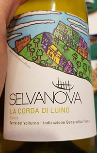 Terre del Volturno IGT – La Corda di Luino Bianco 2020