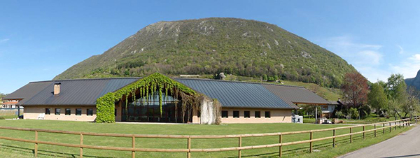 Cantina Giovanni Dri