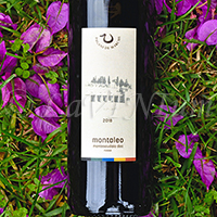 Montescudaio Rosso Montaleo 2018 Pagani De Marchi