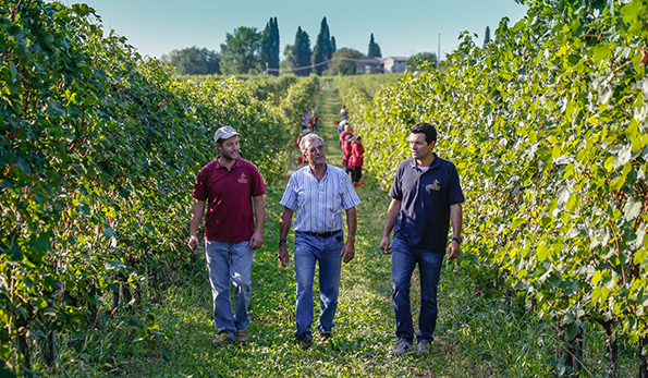 Paolo, Valerio e Fabio Zenato