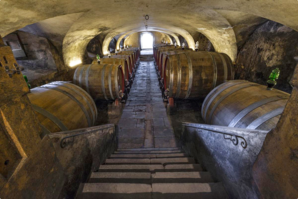 Torre a Cona, la cantina