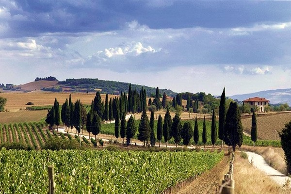 azienda Marco Capitoni