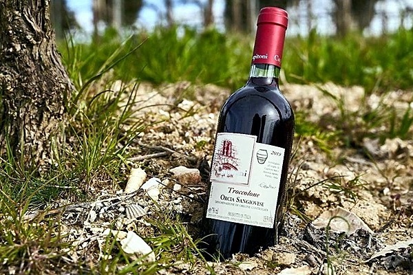Orcia Sangiovese Troccolone 2019 Marco Capitoni