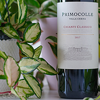 Chianti Classico Primocolle Villa Cerna 2017 Cecchi