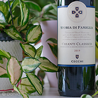 Chianti Classico Storia di Famiglia 2019 Cecchi