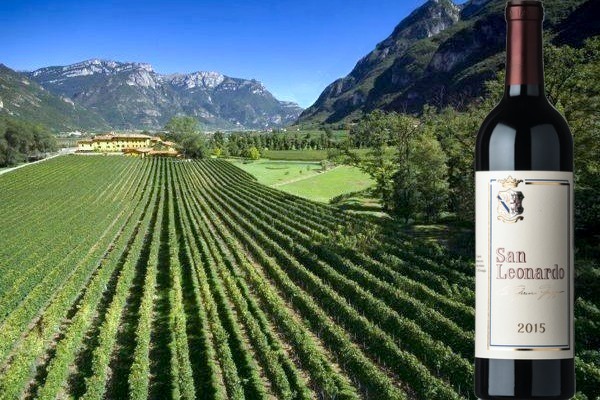 San Leonardo 2015 Tenuta San Leonardo