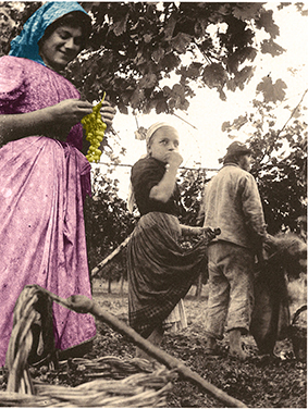 Foto del '900 del pittore Giuseppe Graziosi: Ragazza che mangia dell'uva Alionza