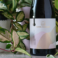 Friuli Colli Orientali Friulano 2020 Torre Rosazza