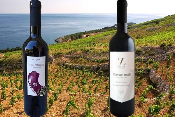 Plavac Bojanić Bad 2017, OPG Toni Bojanić